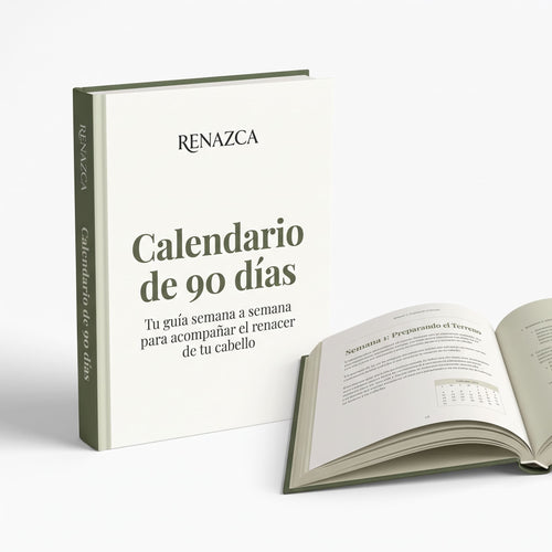 Calendario de 90 días